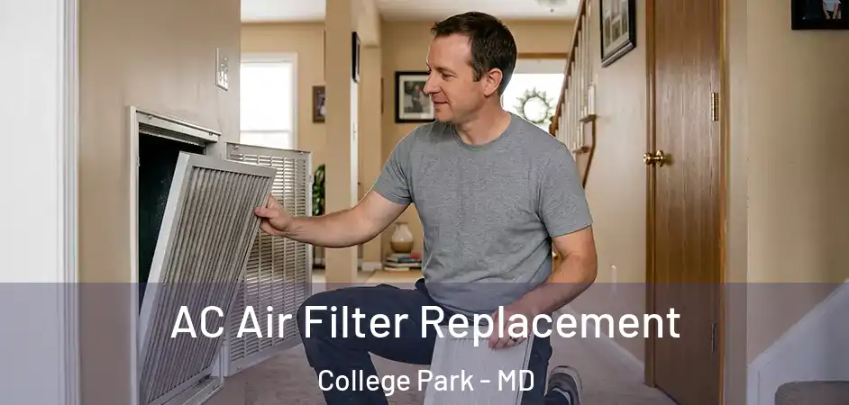  AC Air Filter Replacement College Park - MD