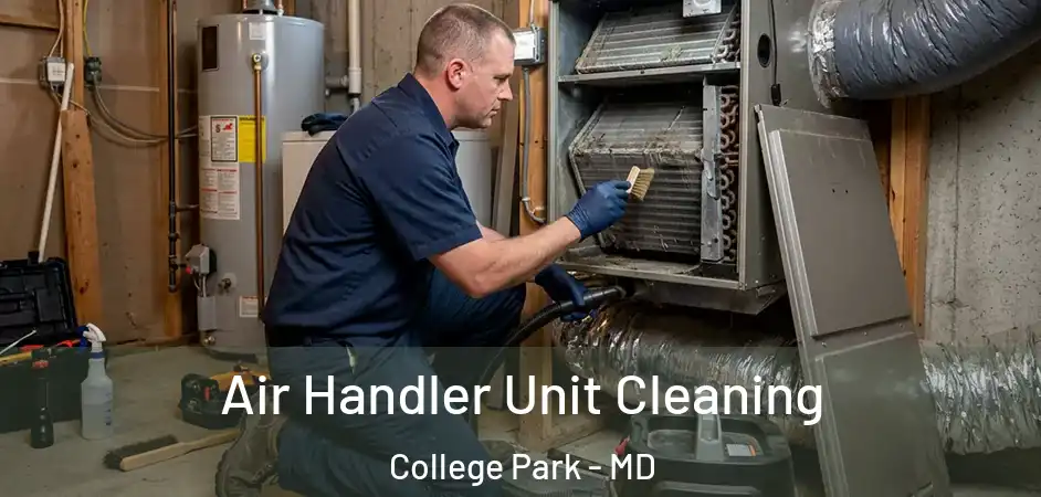 Air Handler Unit Cleaning College Park - MD