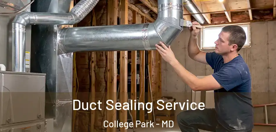 Duct Sealing Service College Park - MD